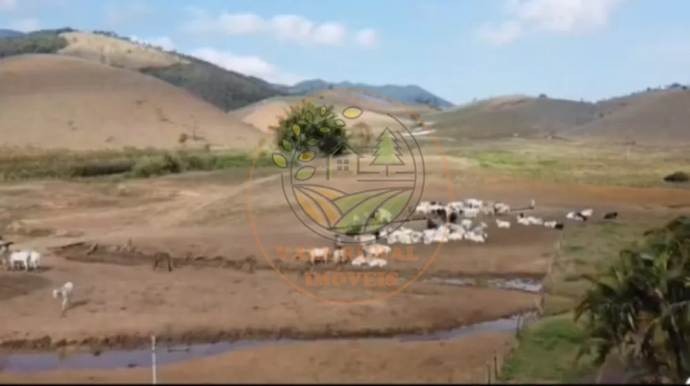 Fazenda, 7 quartos - Foto 6