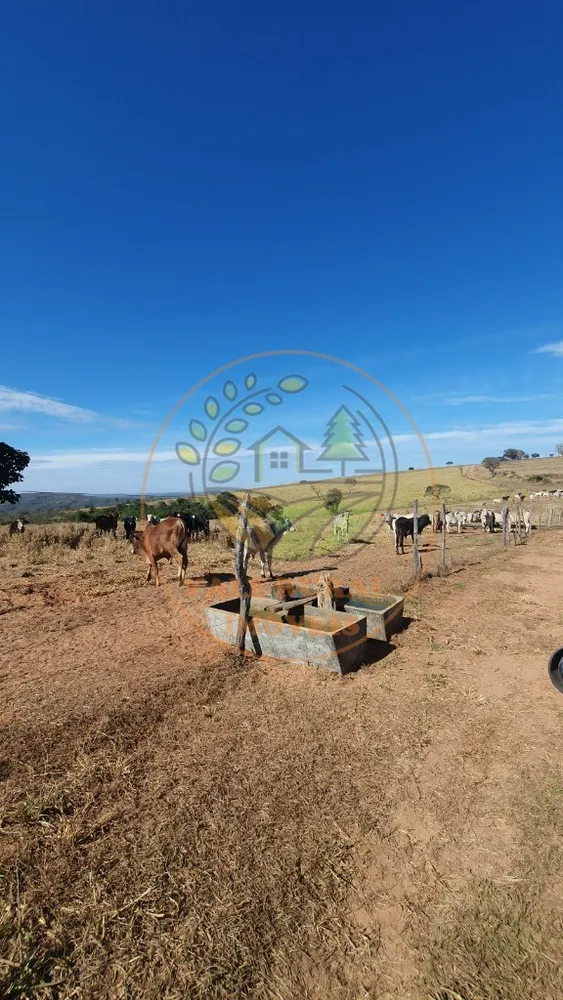 Fazenda, 773 m² - Foto 12