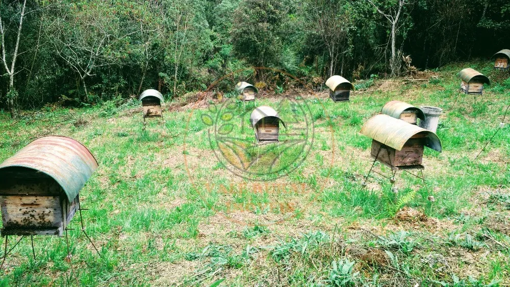 Fazenda - Foto 10