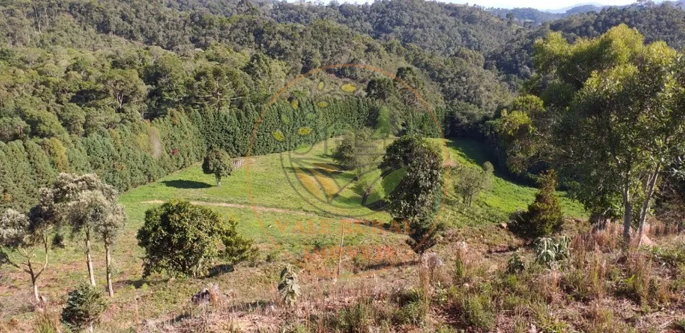 Fazenda - Foto 12