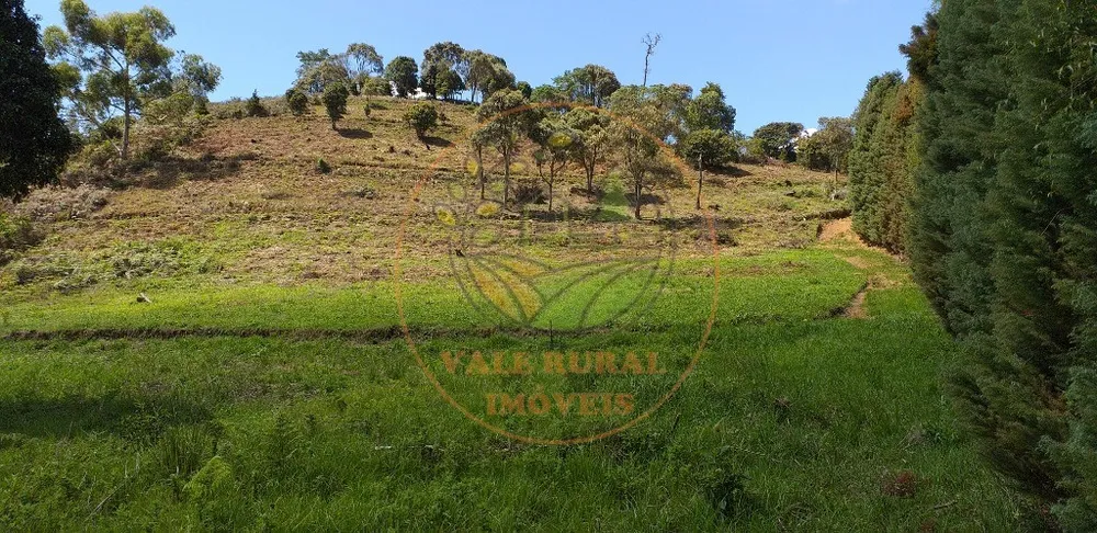Fazenda - Foto 8