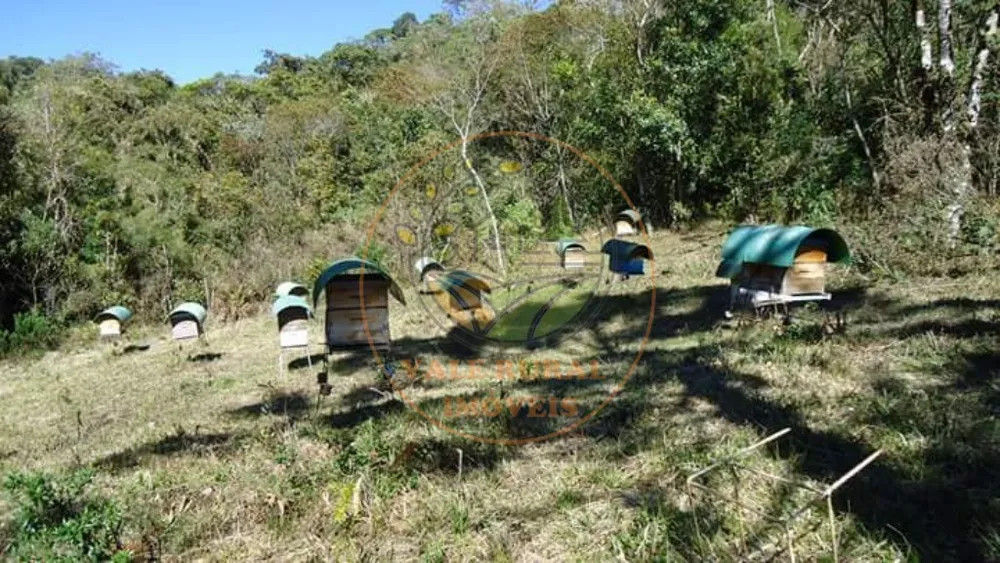 Fazenda - Foto 9