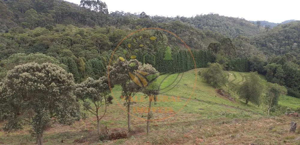 Fazenda - Foto 7
