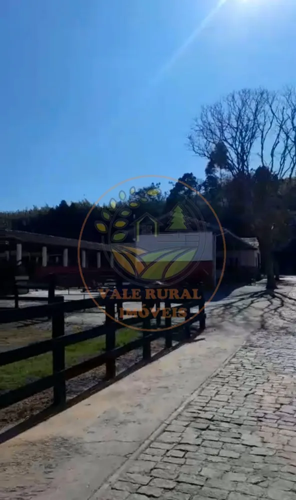 Fazenda, 3 quartos - Foto 12