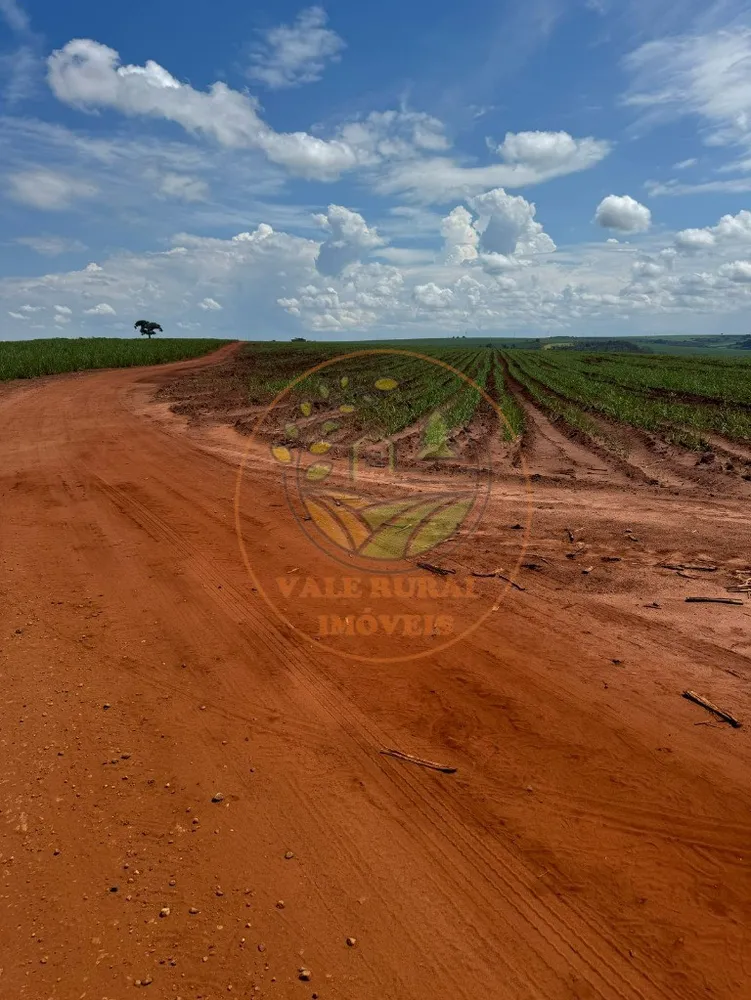 Fazenda - Foto 3