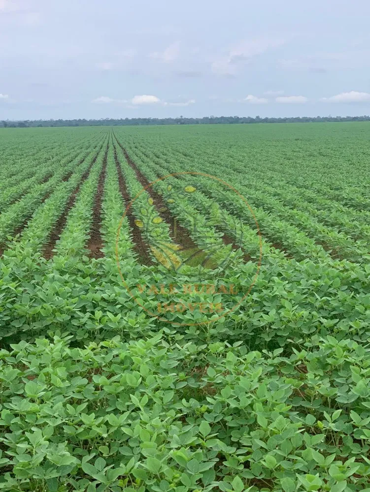 Fazenda - Foto 1