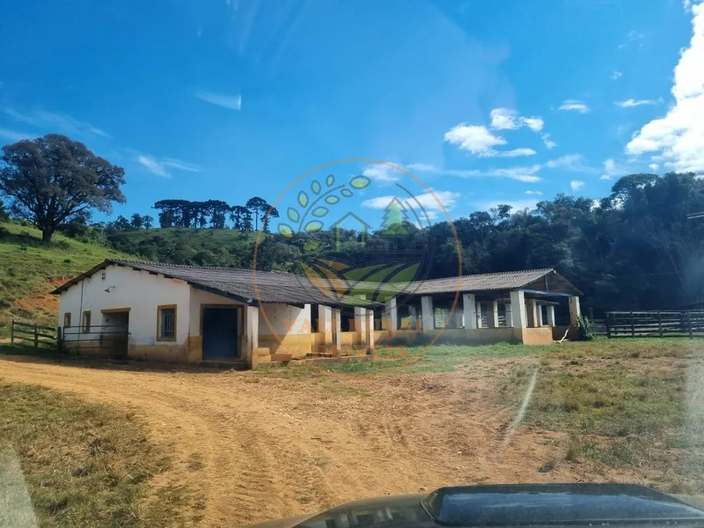Fazenda - Foto 9