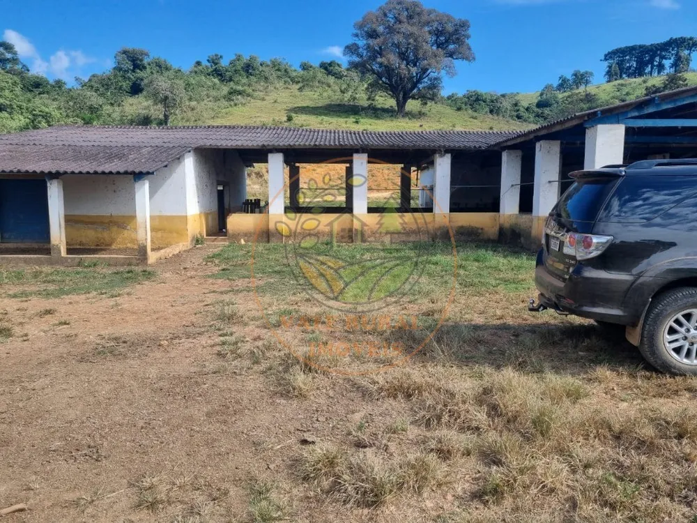 Fazenda - Foto 7