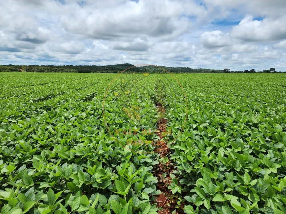 Fazenda, 1 quarto - Foto 2