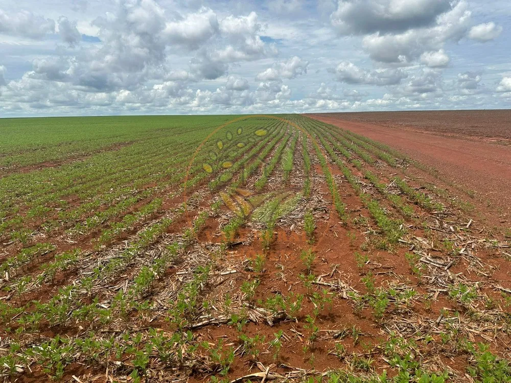 Fazenda, 1 quarto - Foto 4