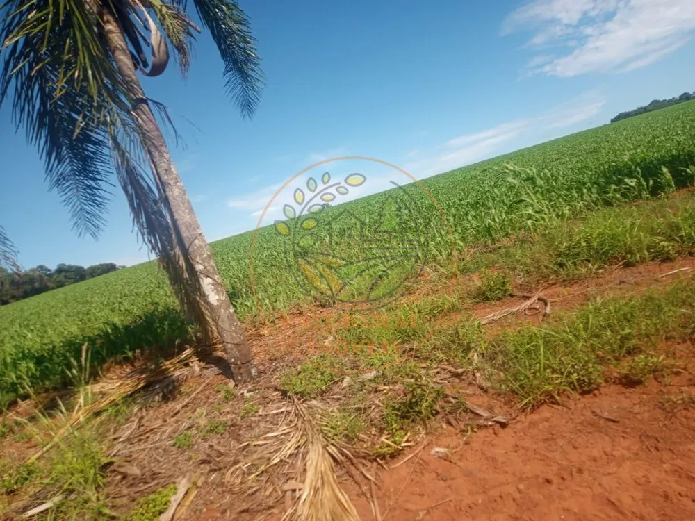 Fazenda - Foto 10