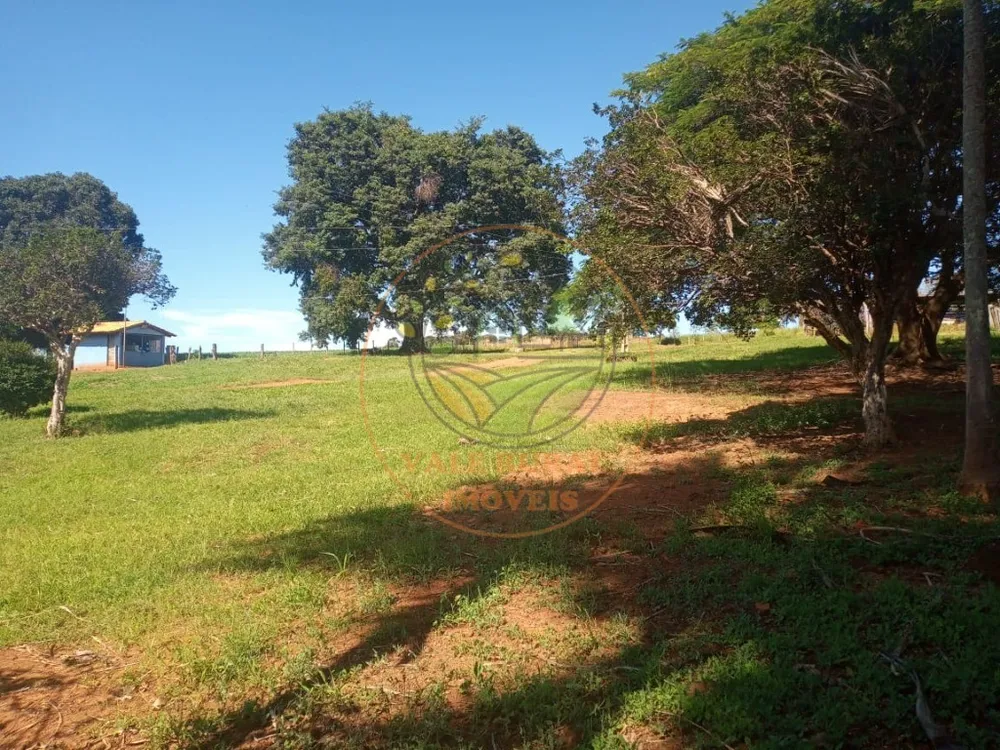 Fazenda - Foto 7