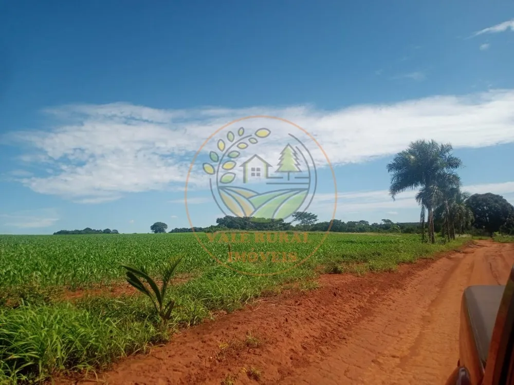 Fazenda - Foto 9