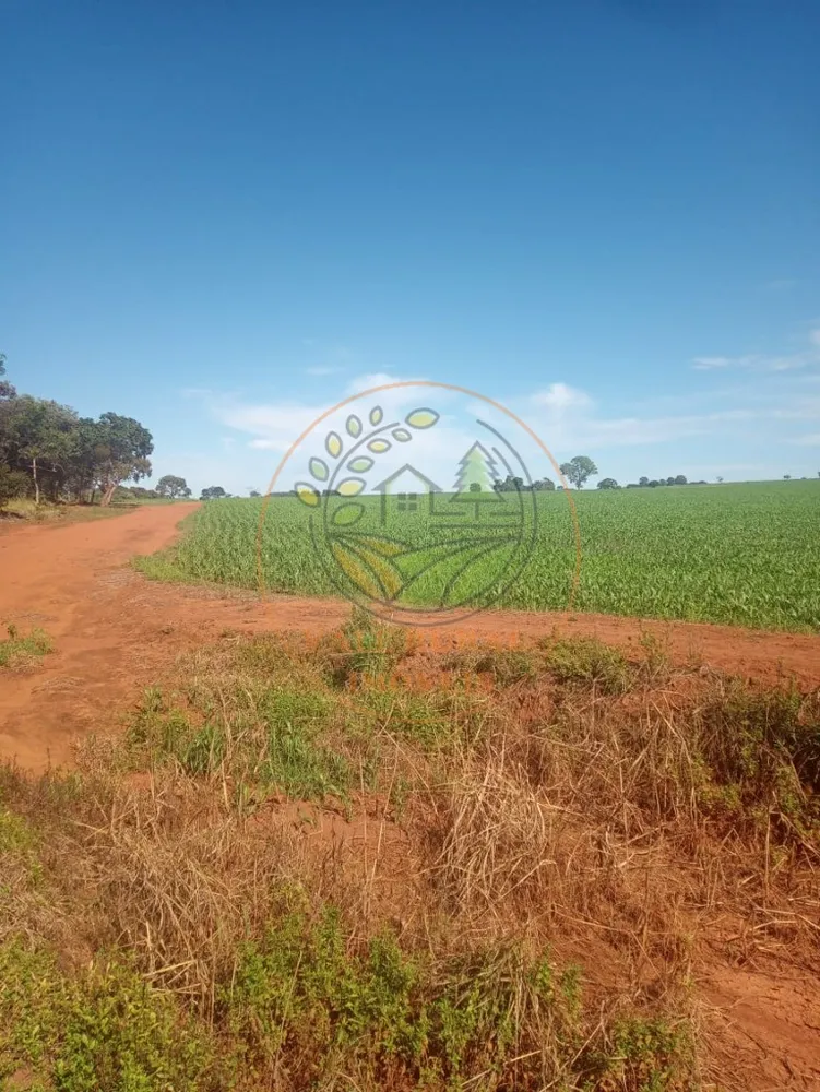 Fazenda - Foto 5