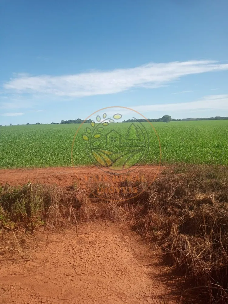 Fazenda - Foto 6