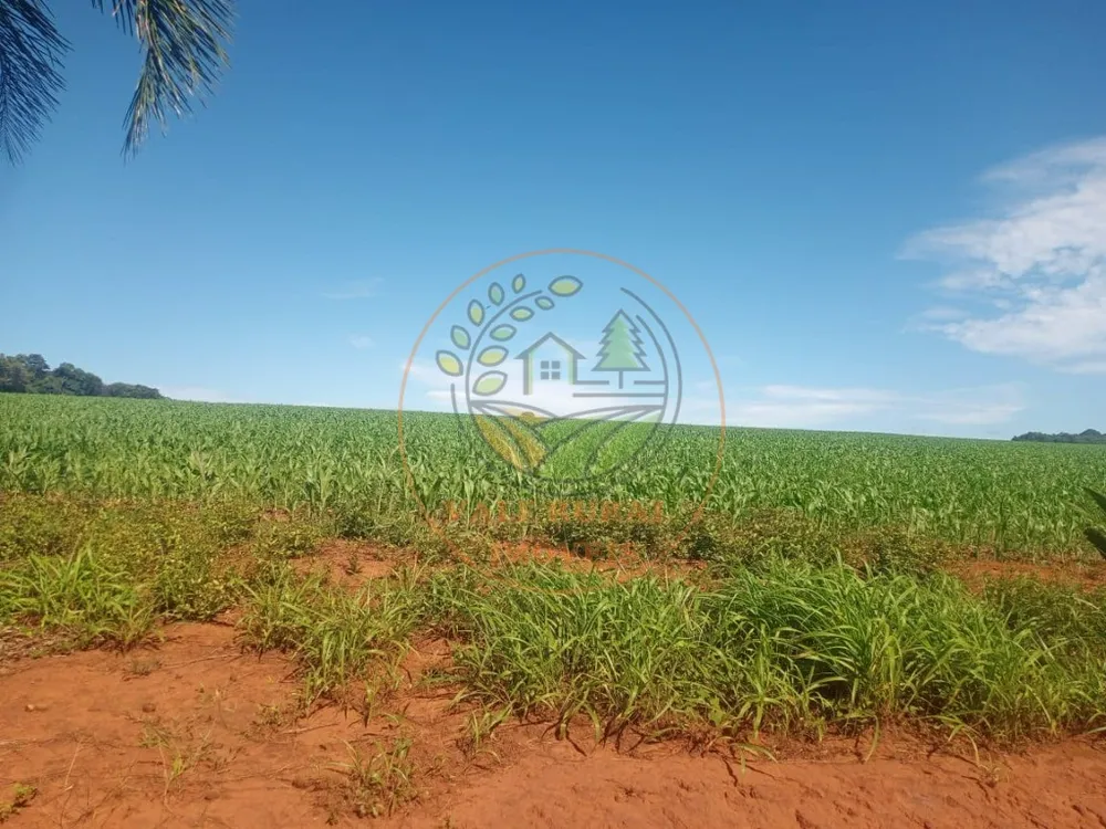 Fazenda - Foto 8