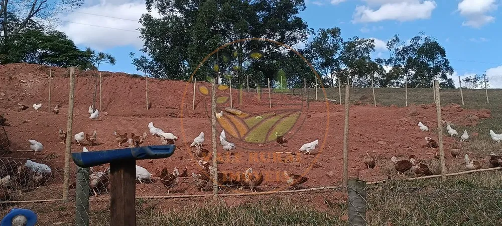 Sítio, 2 quartos, 16 m² - Foto 5