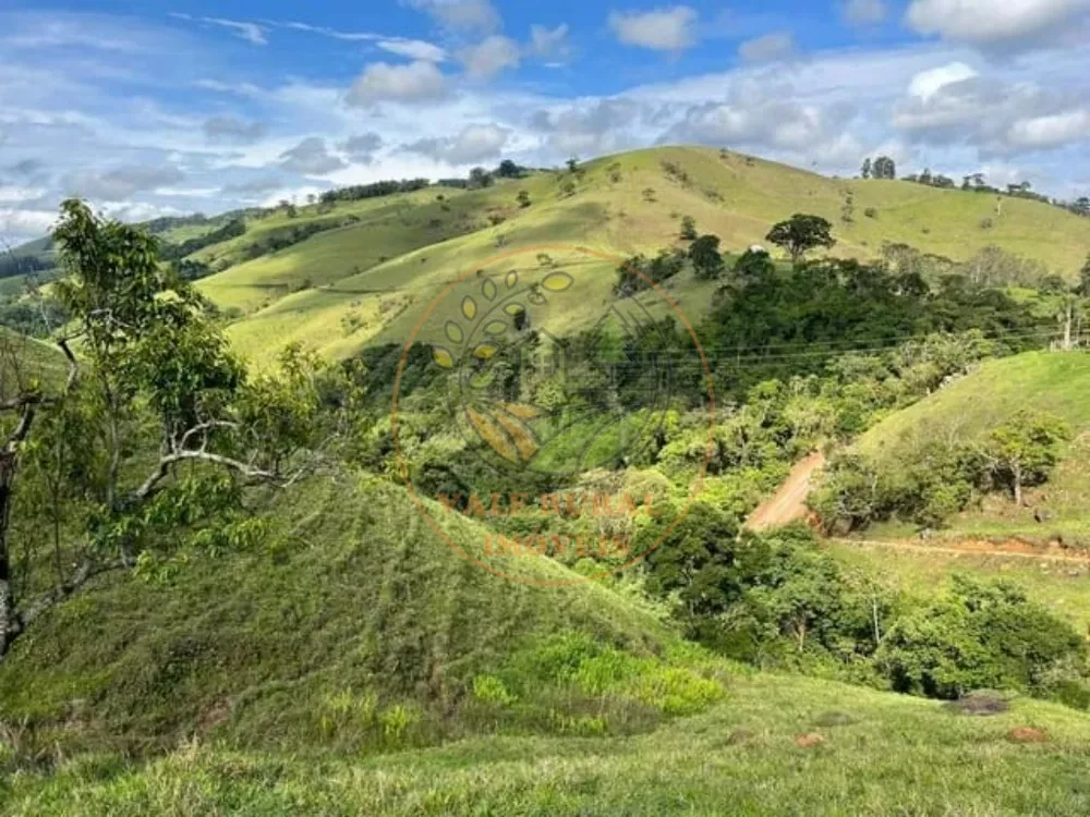 Haras e Área Rural Padrão à venda - Foto 5