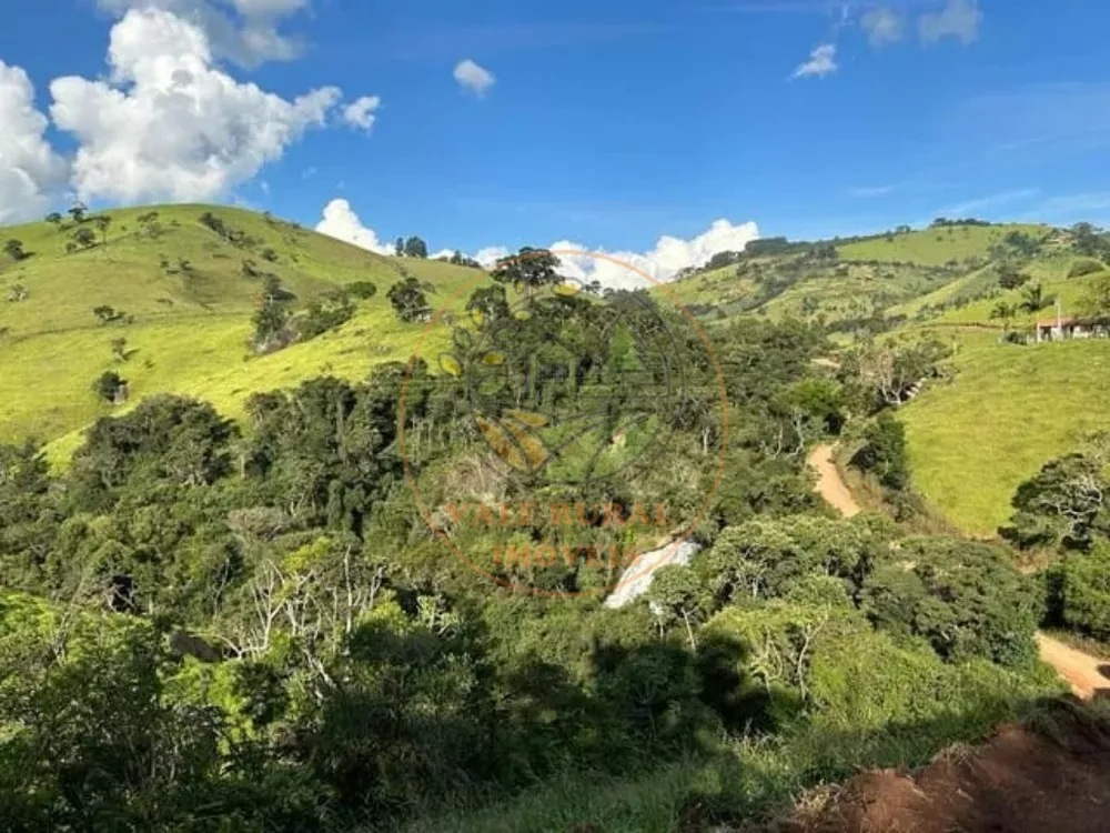 Haras e Área Rural Padrão à venda - Foto 3