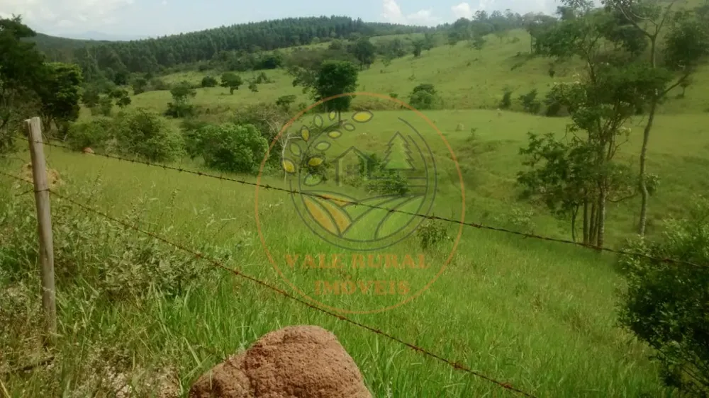 Fazenda - Foto 5