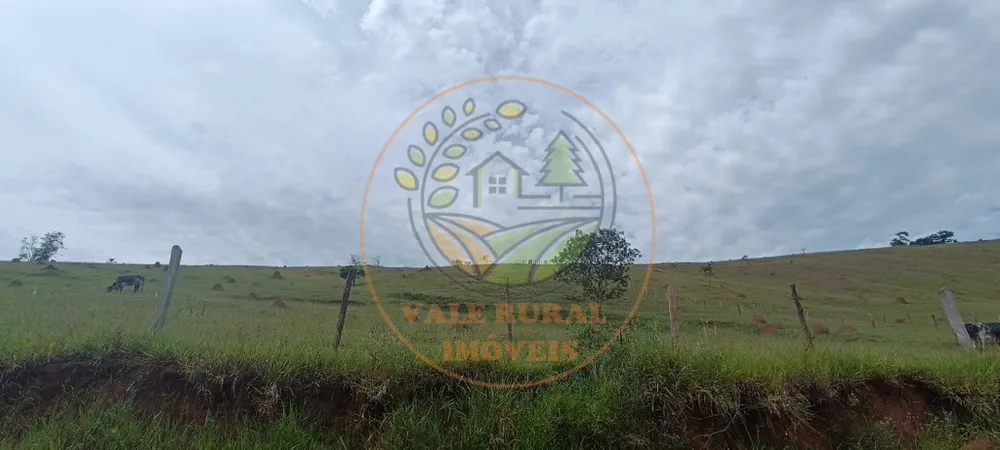 Fazenda - Foto 1