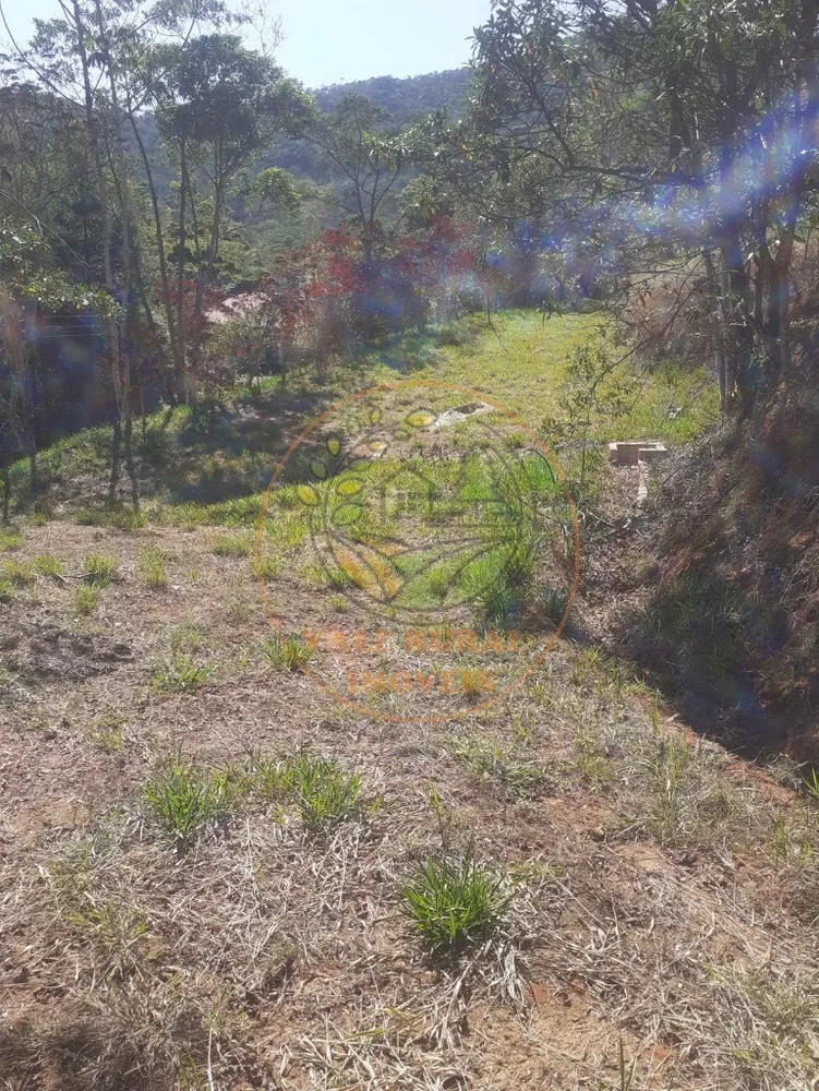 Fazenda, 2 hectares - Foto 4