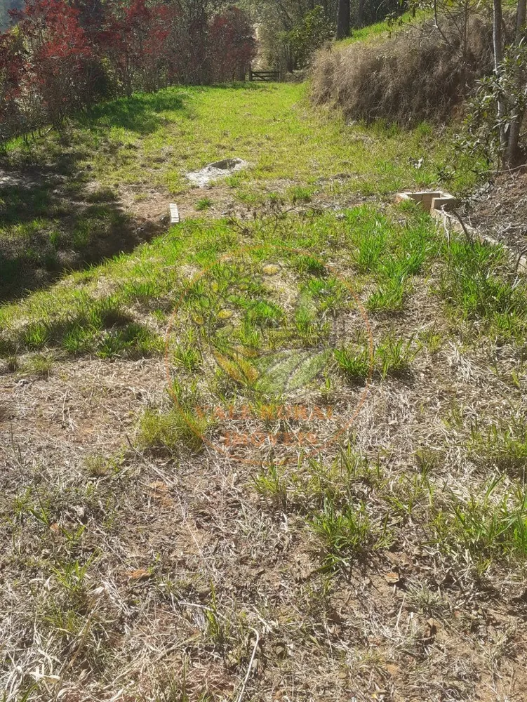 Sítio, 2 hectares - Foto 3