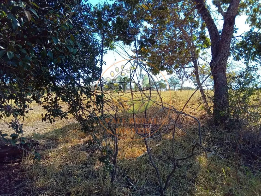 Fazenda à venda - Foto 2