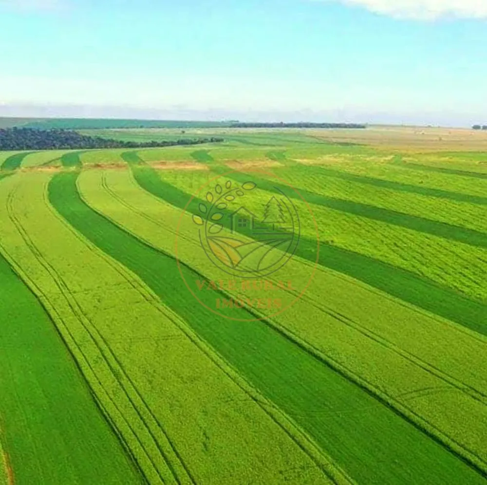 Fazenda, 9 hectares - Foto 6