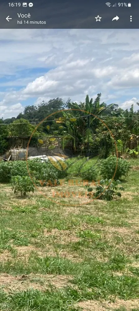 Chácara, 4 quartos - Foto 4