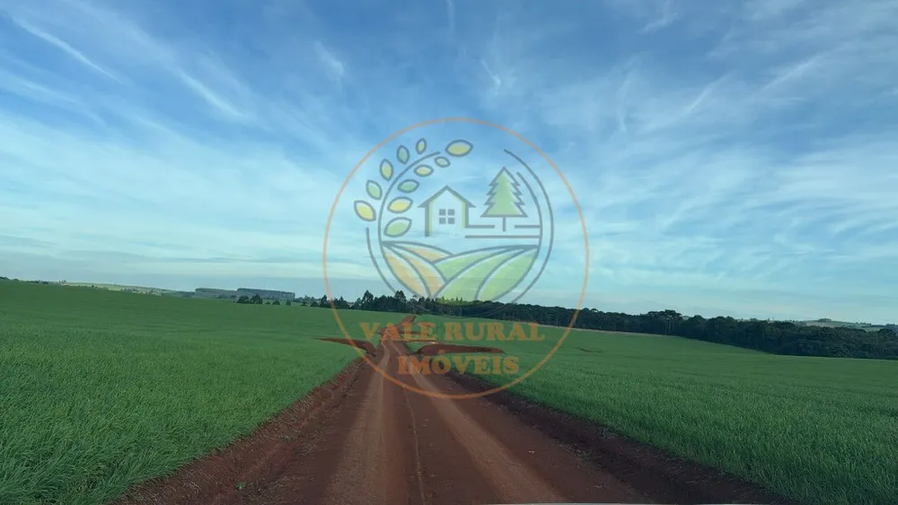 Fazenda - Foto 1
