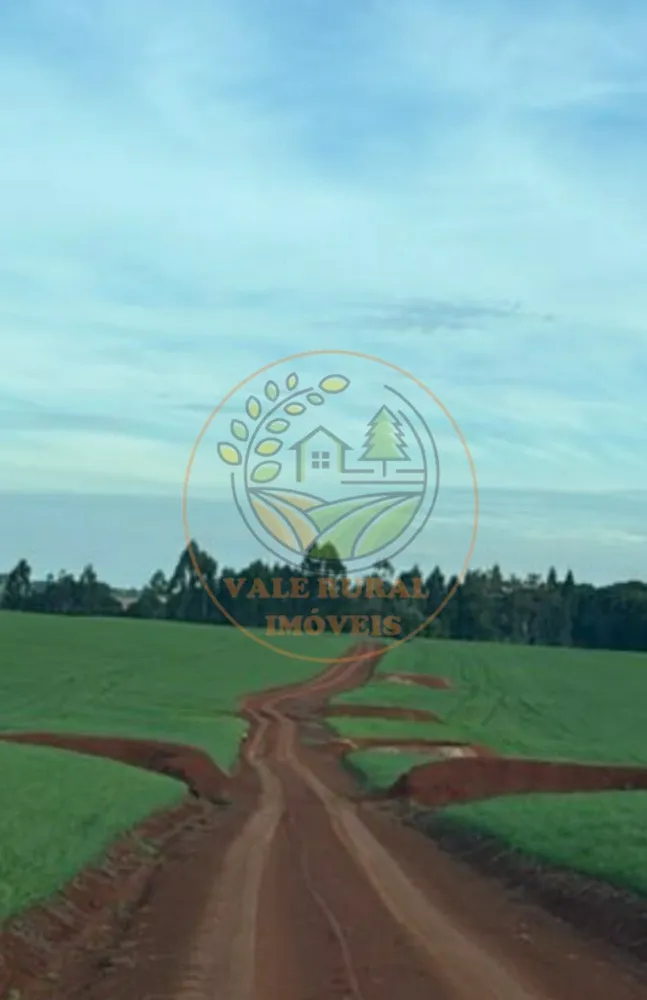 Fazenda - Foto 5