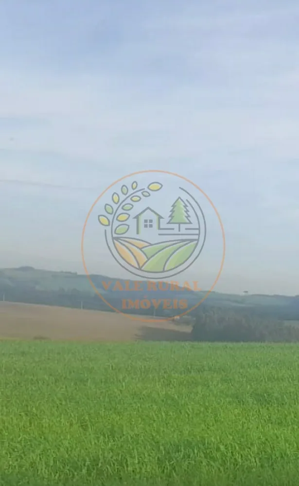 Fazenda - Foto 3