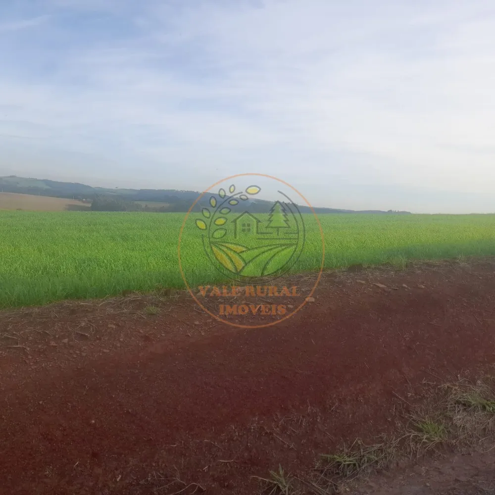 Fazenda - Foto 4