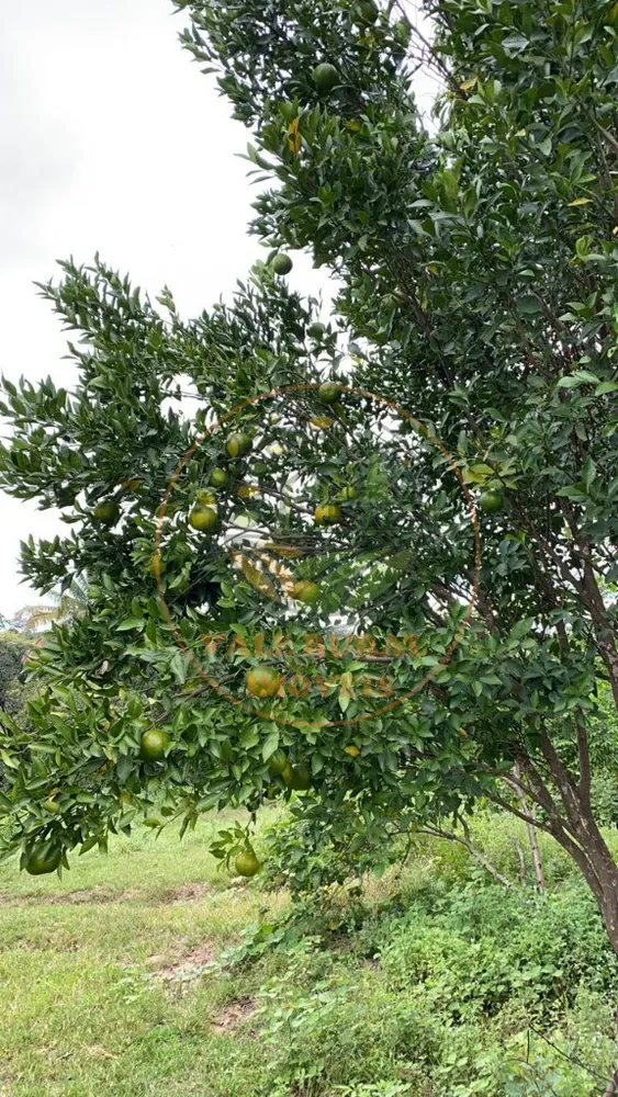 Fazenda, 296 m² - Foto 6