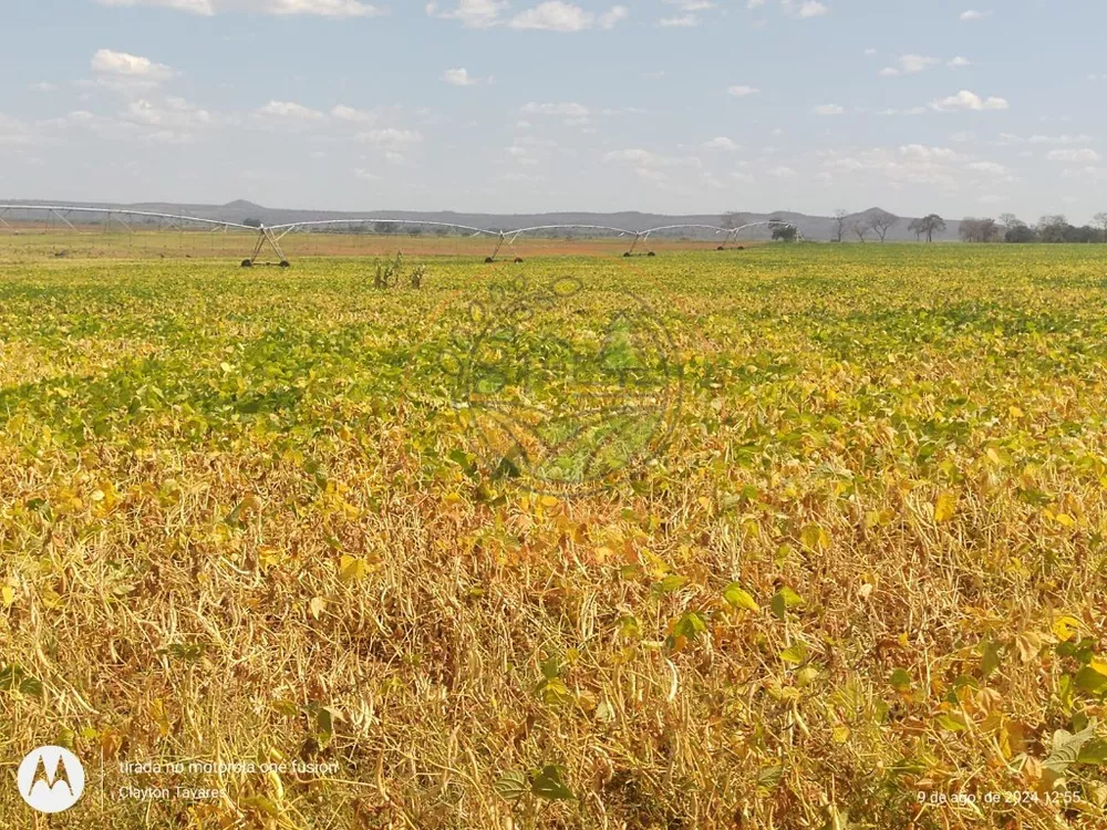 Fazenda à venda - Foto 1