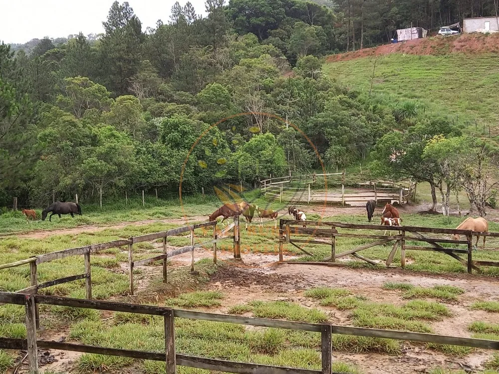 Sítio, 4 quartos, 11 hectares - Foto 8