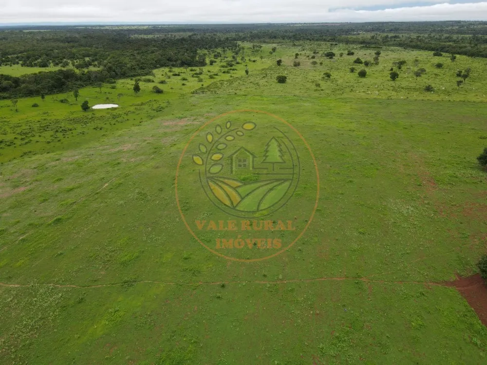 Fazenda - Foto 8