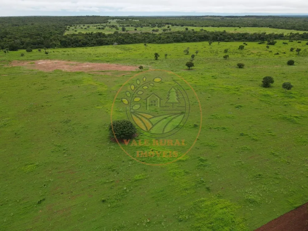 Fazenda - Foto 5