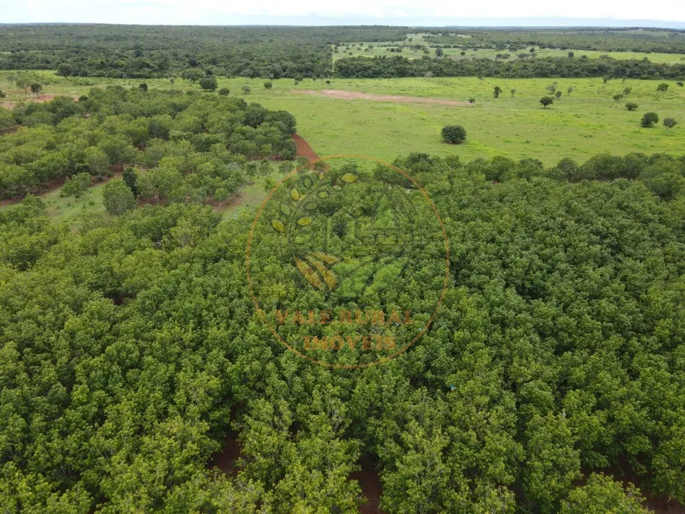Fazenda - Foto 3