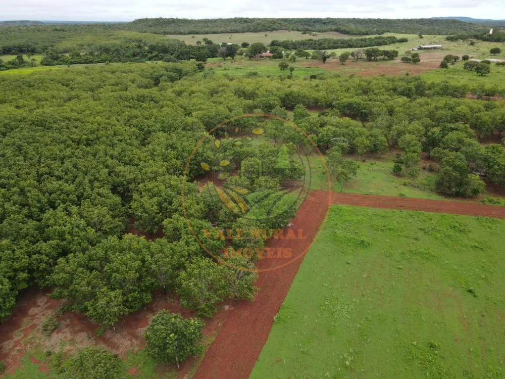 Fazenda - Foto 7