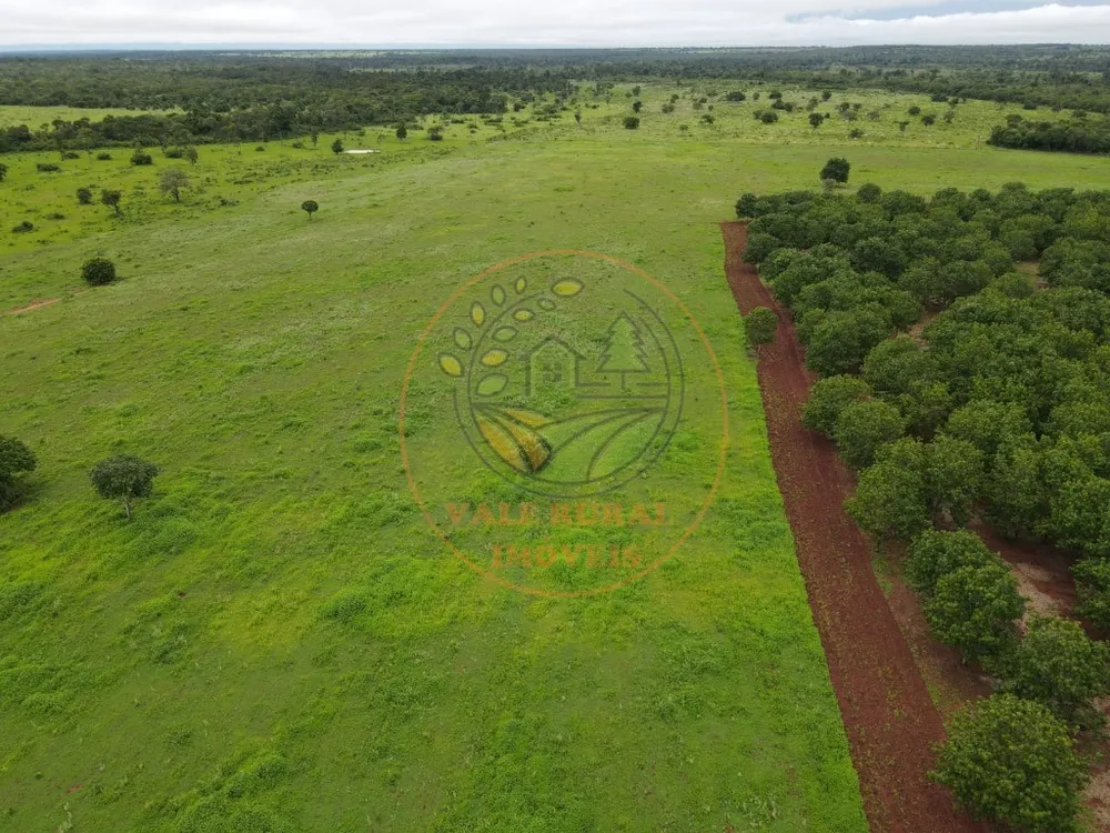 Fazenda - Foto 1