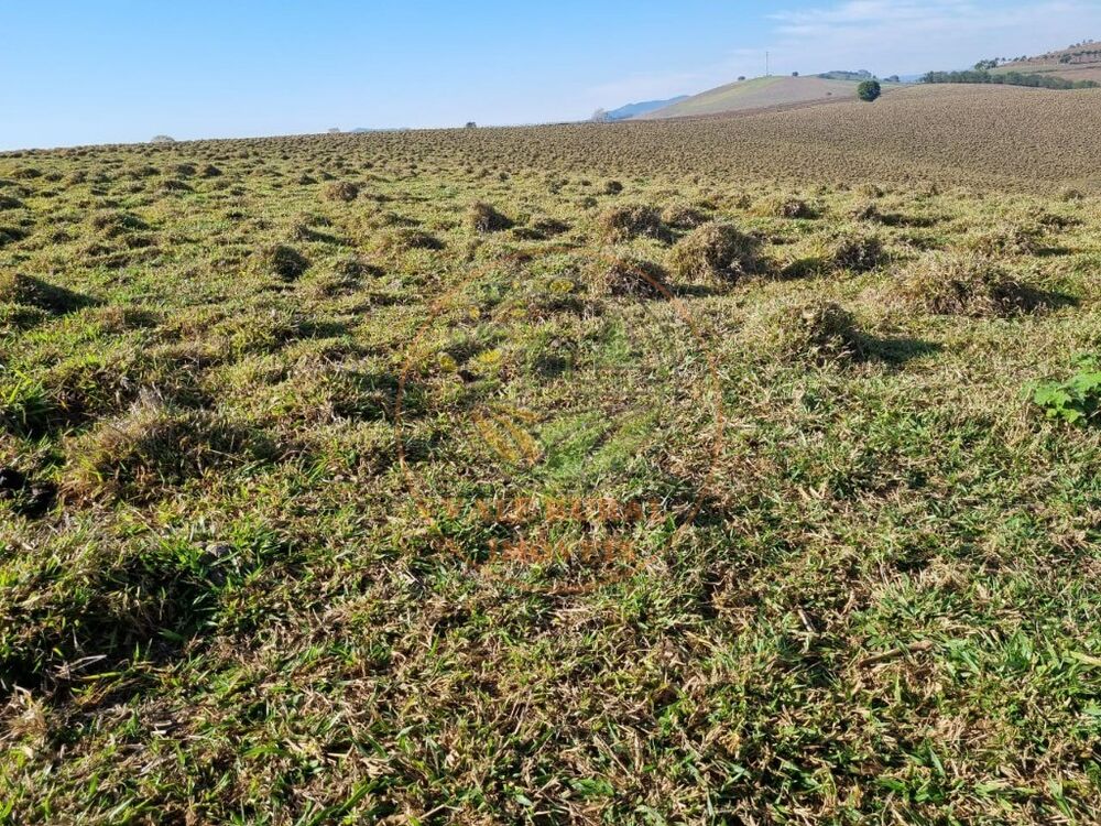 Fazenda, 2 quartos - Foto 4