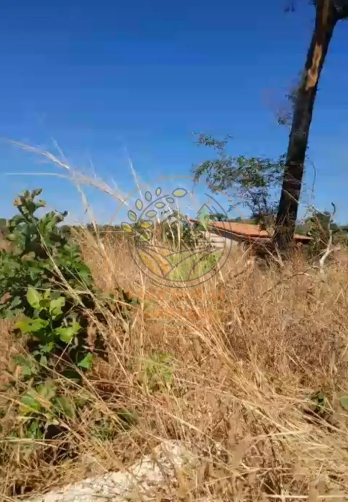 Fazenda, 2 quartos - Foto 5