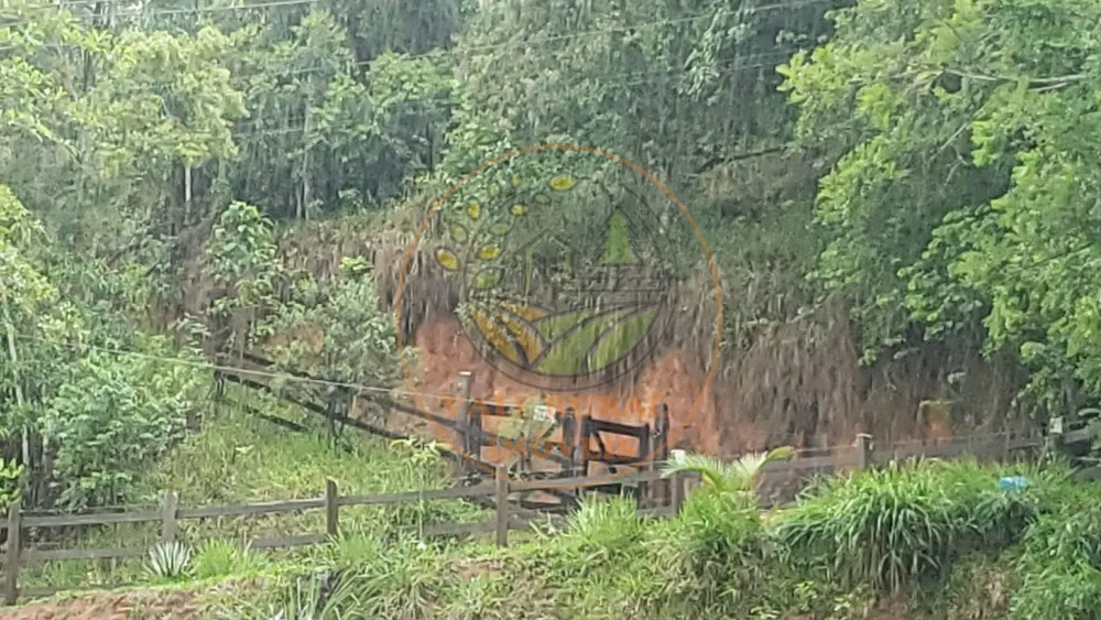 Fazenda - Foto 4