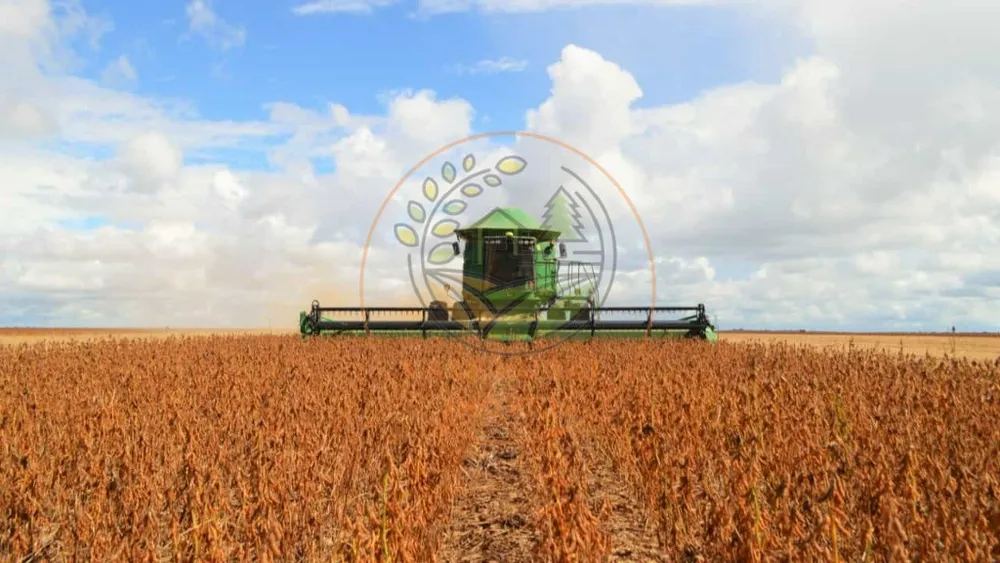 Fazenda - Foto 3