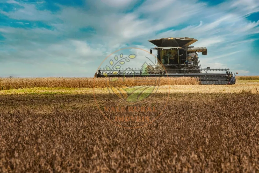 Fazenda - Foto 9