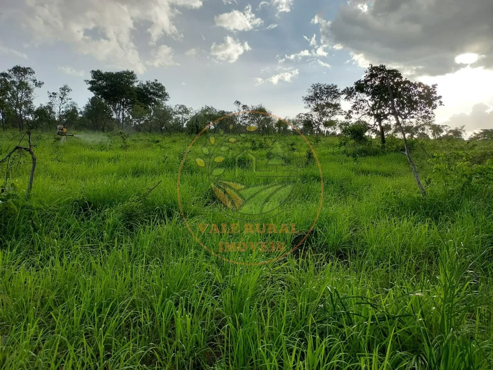 Fazenda, 5 quartos - Foto 4
