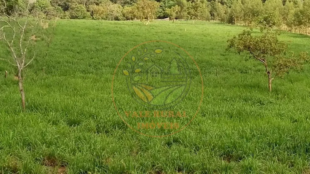 Fazenda, 5 quartos - Foto 1