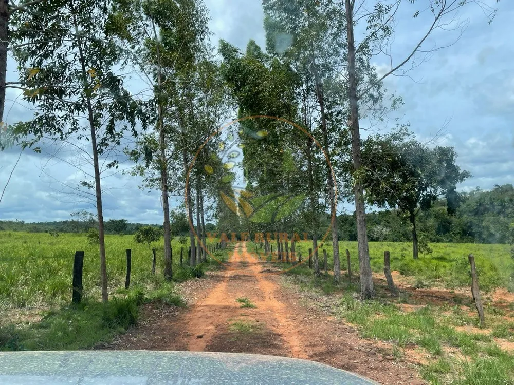 Fazenda, 5 quartos - Foto 11